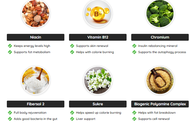 fast lean pro